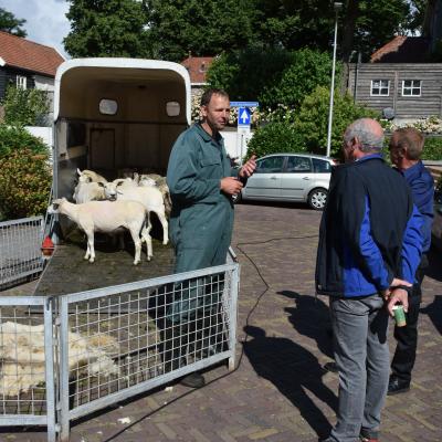 Dinsdagmorgen 2022 37