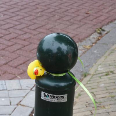 Zomerfeest Zaterdag 2023 94